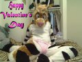 1266115436.fuzzyroo_picture_39.jpg